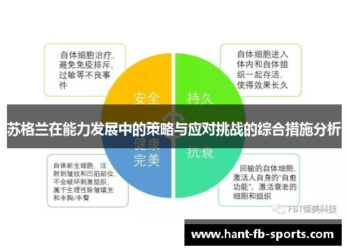 苏格兰在能力发展中的策略与应对挑战的综合措施分析