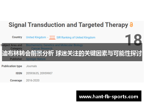 迪布林转会前景分析 球迷关注的关键因素与可能性探讨