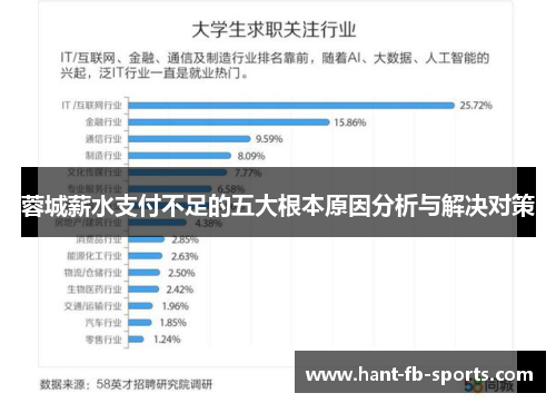 蓉城薪水支付不足的五大根本原因分析与解决对策