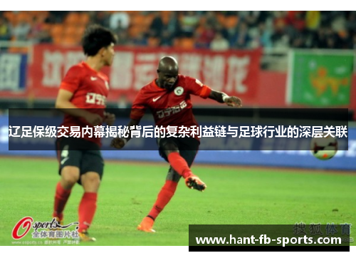 辽足保级交易内幕揭秘背后的复杂利益链与足球行业的深层关联