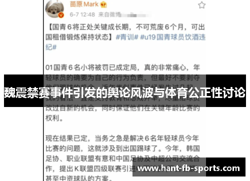 魏震禁赛事件引发的舆论风波与体育公正性讨论