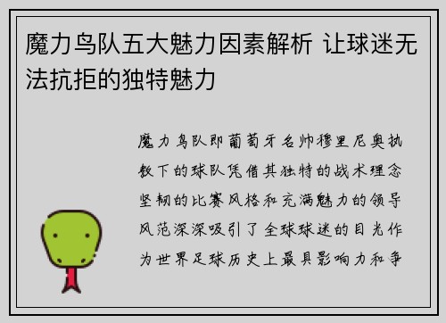 魔力鸟队五大魅力因素解析 让球迷无法抗拒的独特魅力