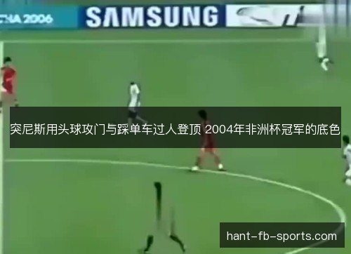突尼斯用头球攻门与踩单车过人登顶 2004年非洲杯冠军的底色